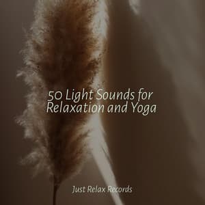 50 Light Sounds for Relaxation and Yoga - Powerthoughts Meditation Club