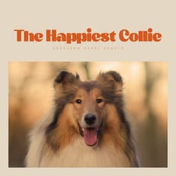 The Happiest Collie - Music For Dogs With Anxiety