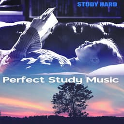 Perfect Study Music - Study Hard