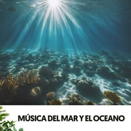 Música del Mar y el Oceano: Melodias de agua y sal - Solfeggio Frequencies 528Hz