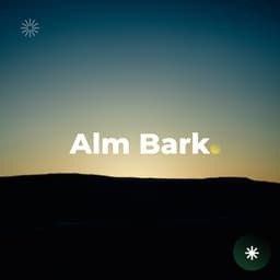 Echoes of Dawn - Big Ordo