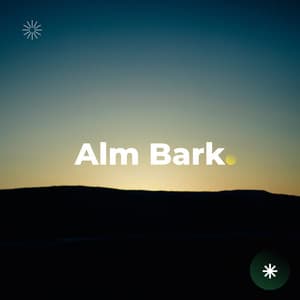 Echoes of Dawn - Big Ordo