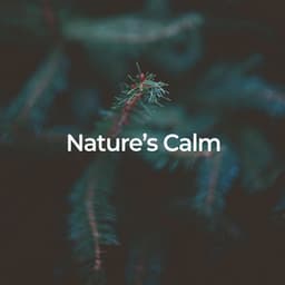 Nature's Calm: Deep Sleep Sounds - Naturalis