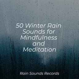 50 Winter Rain Sounds for Mindfulness and Meditation - Lullabies for Deep Meditation