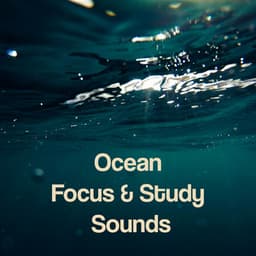 Ocean Focus & Study Sounds - Beach Sounds and Ocean Waves