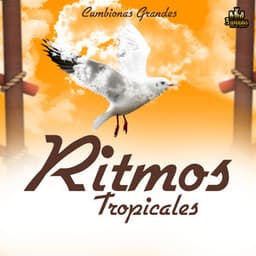 Cumbionas Grandes - Ritmos Tropicales
