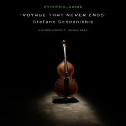 Voyage that never ends - Stefano Scodanibbio