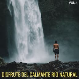 Disfrute Del Calmante Río Natural Vol. 1 - Rios y corrientes