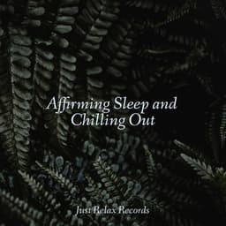 Affirming Sleep and Chilling Out - Musica para Meditar