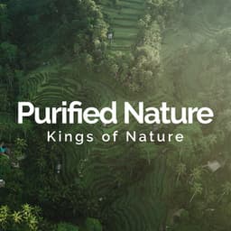 Purified Nature - Kings of Nature