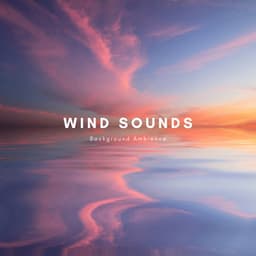 Wind Sounds Background Ambience - Zen Sounds