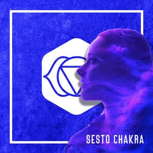 Sesto Power Node - Ashna Lite