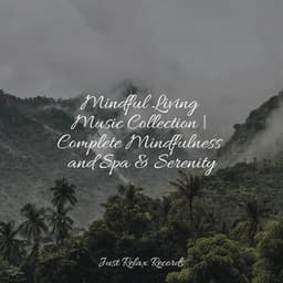Mindful Living Music Collection | Complete Mindfulness and Spa & Serenity - Relajacion Del Mar