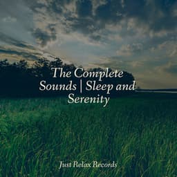 The Complete Sounds | Sleep and Serenity - Musica Reiki