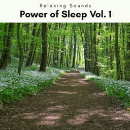 2022 Power of Sleep Vol. 1 - Sleep Tech