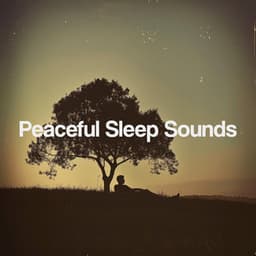 Peaceful Sleep Sounds - Nature Sounds Nature Music