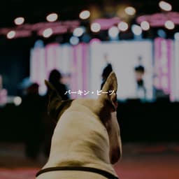 バーキン・ビーツ - Playliste Travail à Domicile