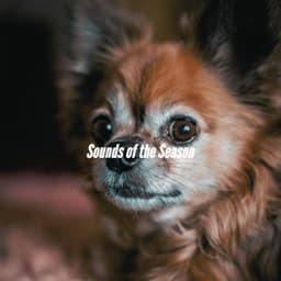 Sounds of the Season - Happy Music for Retail Stores