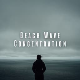 Beach Wave Concentration: Blisfull Rain Drop Meditation - About A Sudden Rainstorm