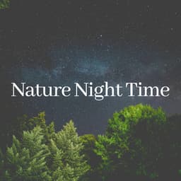 Nature Night Time - Sound of Nature Library
