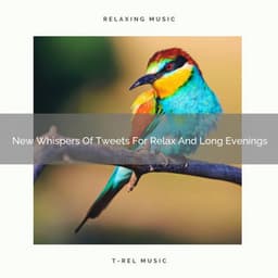 New Whispers Of Tweets For Relax And Long Evenings - Organic Nature Sounds