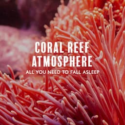 Coral Reef Atmosphere: All You Need to Fall Asleep, Ocean Sounds During a Lunar Eclipse in the Philippines, Ocean Breeze All Night, Blue Dreams - Ocean Waves For Sleep