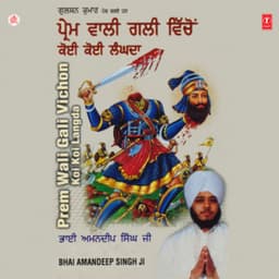 Prem Wali Gali Vichon... Vol-25 - Bhai Amandeep Singh Ji