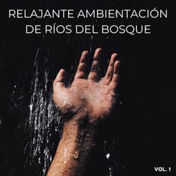 Relajante Ambientación De Ríos Del Bosque Vol. 1 - Sonidos de la Naturaleza JBE