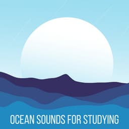 Ocean Sounds for Studying - Concentration