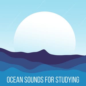 Ocean Sounds for Studying - Concentration