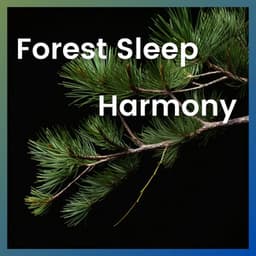 Forest Sleep Harmony - Forest Sounds Channel