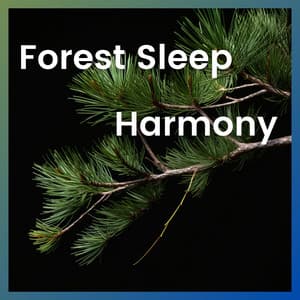 Forest Sleep Harmony - Forest Sounds Channel