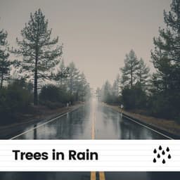 Trees in Rain - Rain Relaxation