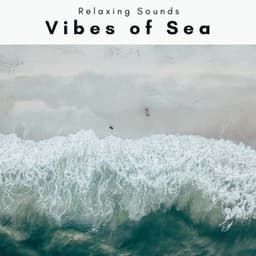 2022 Vibes of Sea - Seashore Waves