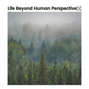 Life Beyond Human Perspective - Nature & Sounds Backgrounds