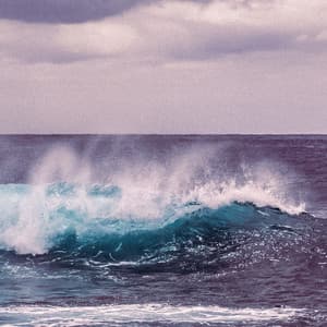 1 Coastal Night: Sleep Serenade of the Sea - Ocean Sounds