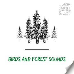 Birds and Forest Sounds for Relaxation with White Noise, Loopable - White Noise Therapy