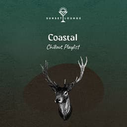 Coastal Chillout Playlist - Palm Analogue