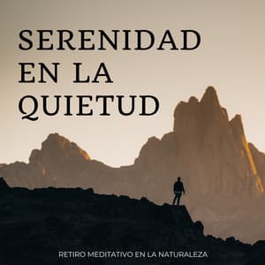 Serenidad En La Quietud: Retiro Meditativo En La Naturaleza - Sonidos de la Naturaleza Relajacion