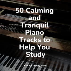 Soft Melodies for Reading and Relaxation - Romantic Piano Music