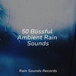 50 Blissful Ambient Rain Sounds - Cascada de Lluvia