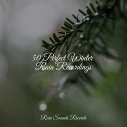 50 Perfect Winter Rain Recordings - Ambiente