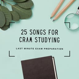 25 Songs for Cram Studying - Peaceful Music for Last Minute Exam Preparation - Fast Learning PhD