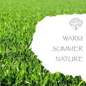 Warm Summer Nature - Natural Spirit