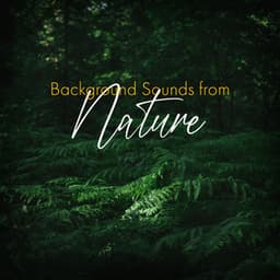 Background Sounds from Nature - Liam Camprelle