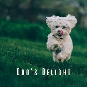 Dog's Delight: Chill Music for Outdoor Fun - Ambient