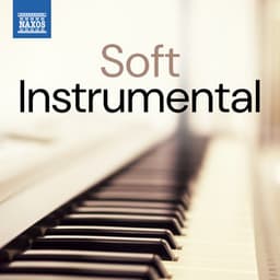 Soft Instrumental - Johann Sebastian Bach
