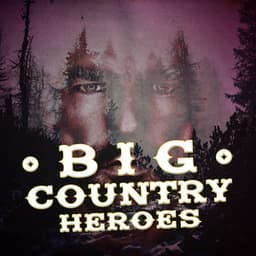 Big Country Heroes - Country Pop All-Stars