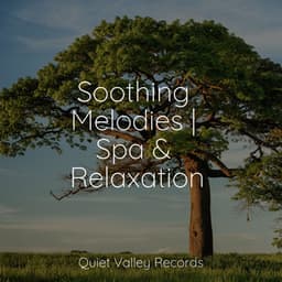 Soothing Melodies | Spa & Relaxation - Thunder Storm