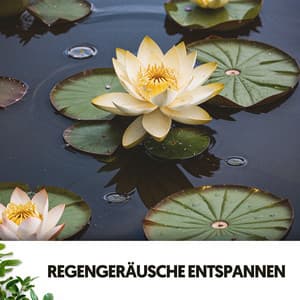 Regen-Spa-Klänge: Zen-Dusch-Symphonie - Cat Music Therapy